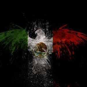 Meet your Posher, Bulmaro